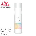 WELLA プロフェッショナル カラーモーション+ シャンプー 250ml　カラーモーションプラス ウェラ プロフェッショナル カラー シャンプー カラーヘア カラーヘアー ホームケア ダメージ 補修 保護