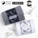 【正規販売店】【日本製】ホリスティックキュア ヘアドライタオル ホリスティック HOLISTIC Cure Hair Dry Towel クレイツ クレイツイオン ホリスティックキュアーズ マイクロファイバー 耐久…