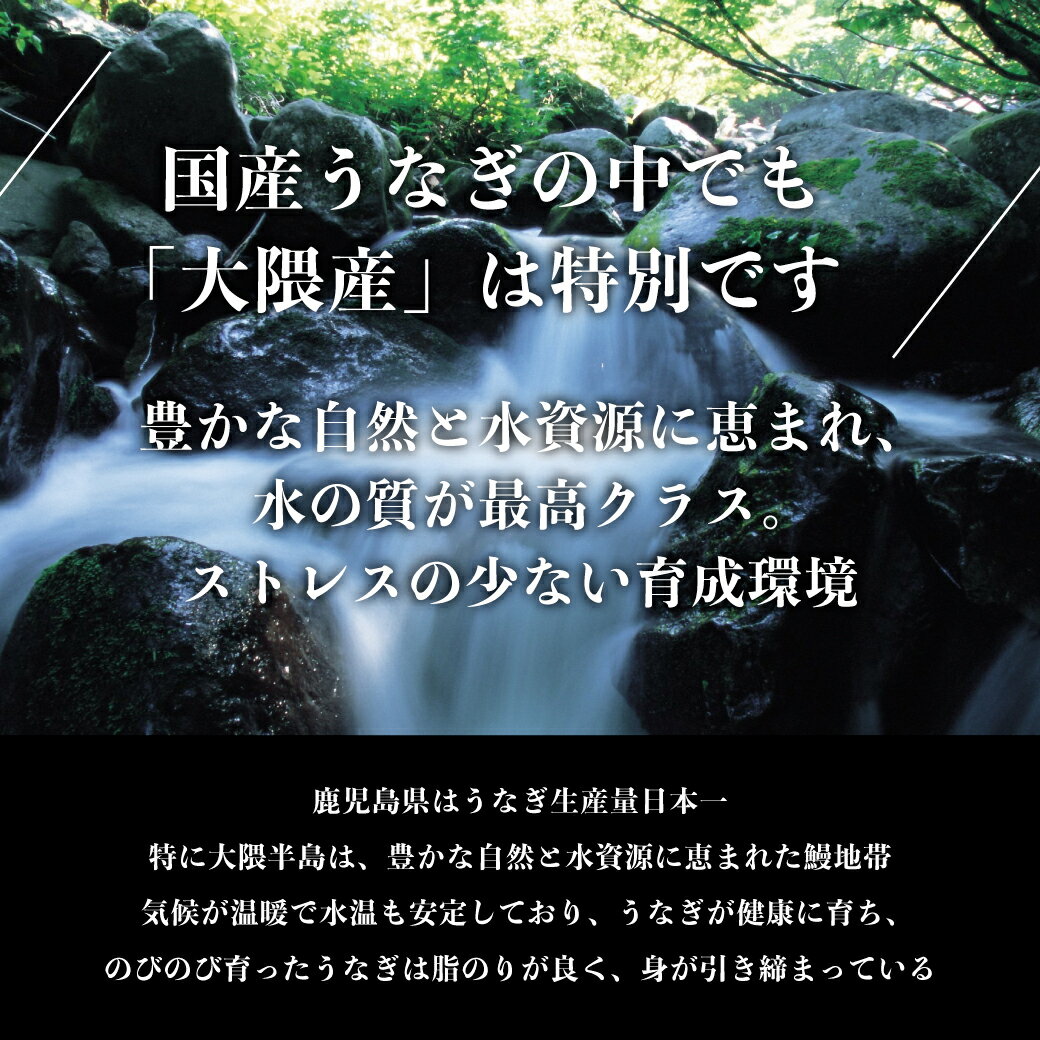 【A倉庫】九州の贅沢セット！《鹿児島大隅産》極上うなぎ蒲焼き + 《鶏膳》赤鶏た...