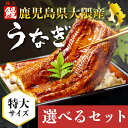 【A倉庫】《鹿児島 大隅産》選べる 極上うなぎ蒲焼きセット 《 2尾 or 4尾 》1尾あたり約200gタレ付き (ウナギ 蒲焼 蒲焼き うな重 国産ウナギ セ...