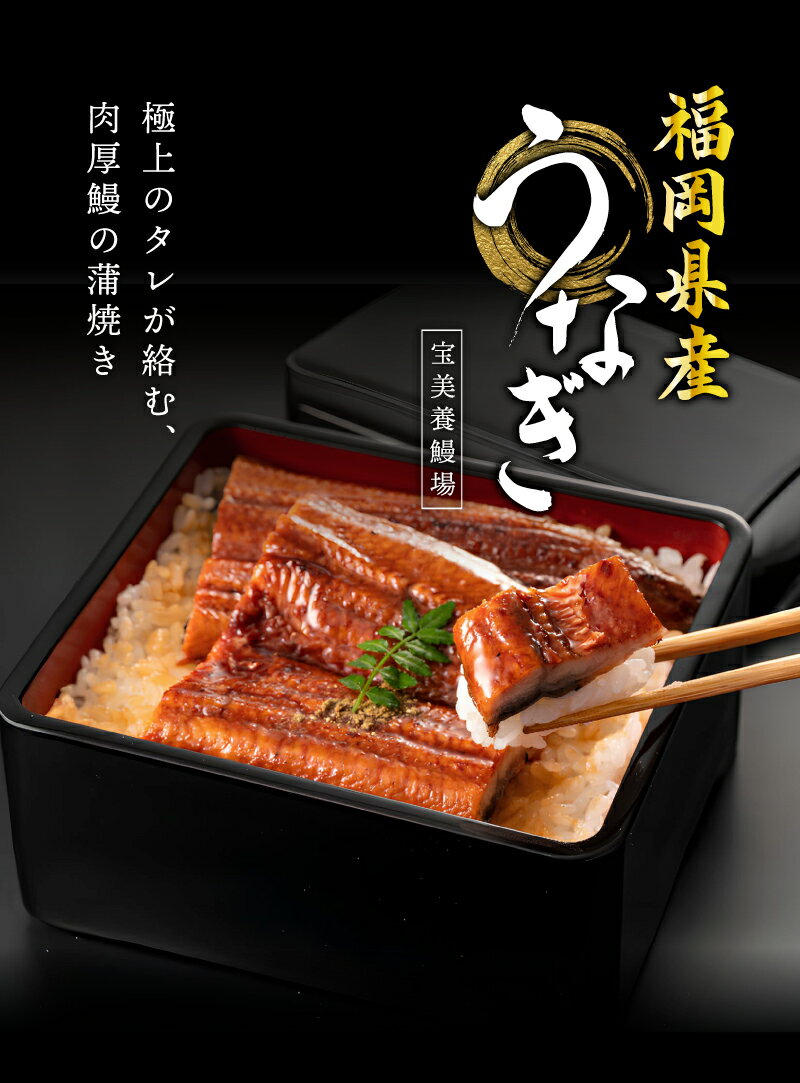 【A倉庫】SALE!【 福岡県産 】 選べる うなぎ蒲焼きセット 《 2尾 or 4尾 + タレ付き 》1尾あたり約180g　（ウナギ 蒲焼 蒲焼き うな重 国産ウナギ セット 鰻の蒲焼 国産鰻 うなぎ蒲焼き 土用の丑の日 土用 海鮮 送料無料 国内産 食べ物 unagi グルメ【冷凍便】