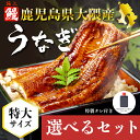 【A倉庫】《鹿児島 大隅産》選べる 極上うなぎ蒲焼きセット 《 2尾 or 4尾 + タレ付き 》1尾あたり約200g (ウナギ 蒲焼 蒲焼き うな重 国産ウナギ セット 鰻の蒲焼 国産鰻 うなぎ蒲焼