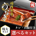 【A倉庫】【 福岡県産 】 選べる うなぎ蒲焼きセット 《 2尾 or 4尾 + タレ付き 》1尾あたり約180g (ウナギ 蒲焼 蒲焼き うな重 国産ウナギ セット 鰻の蒲焼 国産鰻 うなぎ蒲焼き
