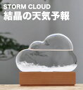 【ラッピング無料】ストームクラウド bitten ビッテン ビトゥン ストームグラス 結晶 雲 くも 天気予報 天気 天候 予測 機器 誕生日 予報 インテリア 置物 ギフト プレゼント 男性 夏休み 自由研究 サイエンス 科学 理科 かわいい おしゃれ メンズ storm cloud SPJ