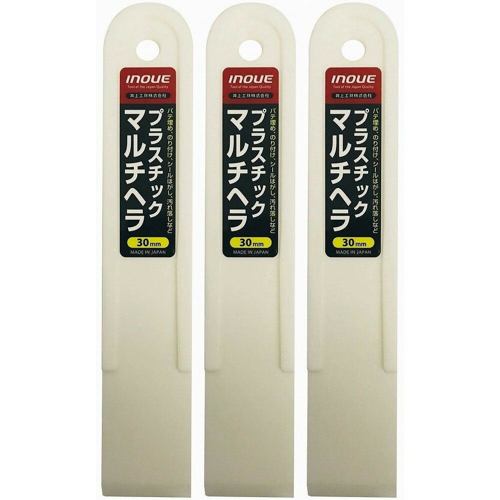 INOUE���ץ饹���å��ޥ���إ顡30mm 3�ĥ��å�