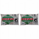 家庭化学工業 - 速乾セメント - 1.3kg 2個セット
