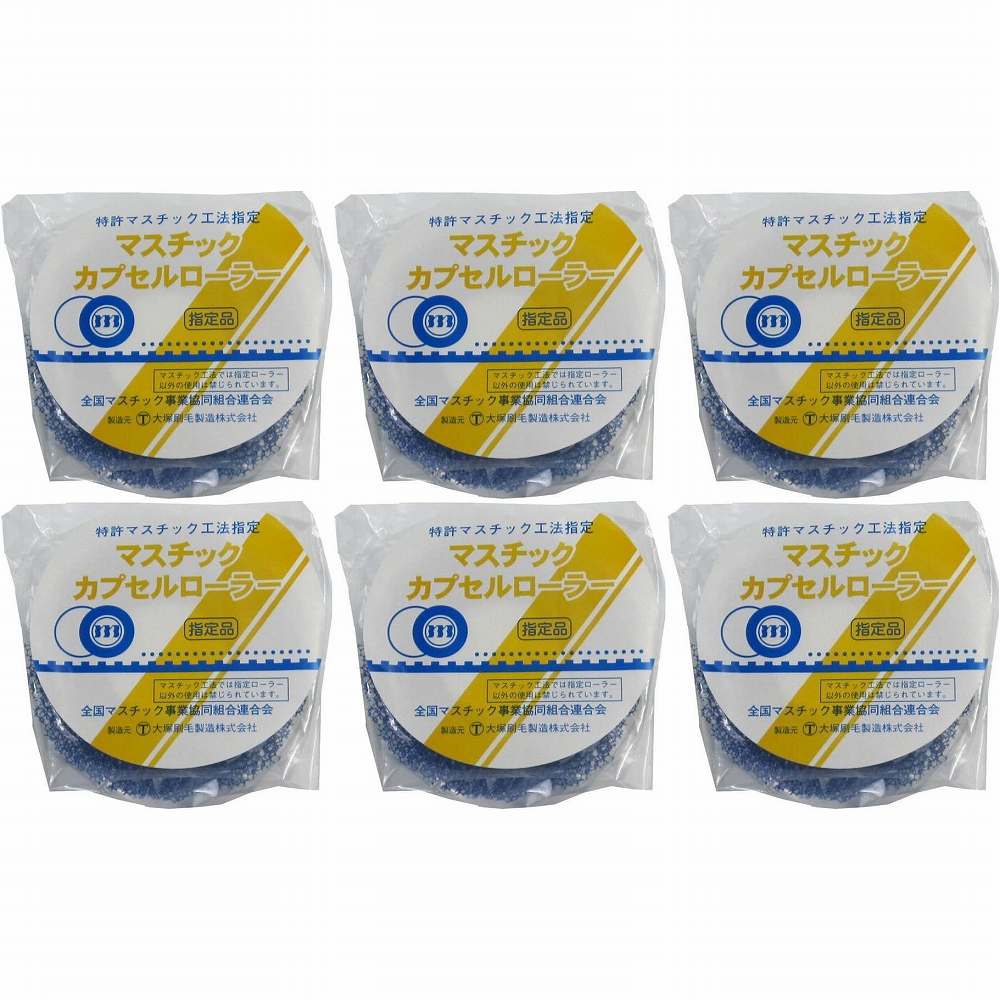 大塚刷毛製造 マスチックワンタッチカプセル 替筒 6個セット