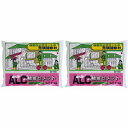 家庭化学工業 - ALC補修セメント - 1kg 2個セット