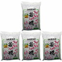 家庭化学工業 - 若椛(繊維壁基材) - No3 - 一坪用 - 670g 4個セット