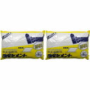 家庭化学工業 - 日曜セメント - ホワイト - 1.3kg 2個セット