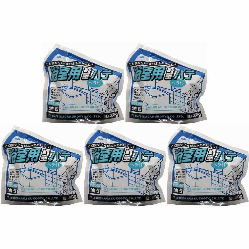 Various Materials - 家庭化学工業 - 浴室用軽量パテ - 300g 5個セット