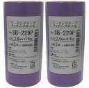 カモ井加工紙 HC カモイ NO.SB229P 和紙テープ 24ミリ 5P AK-214 2個セット
