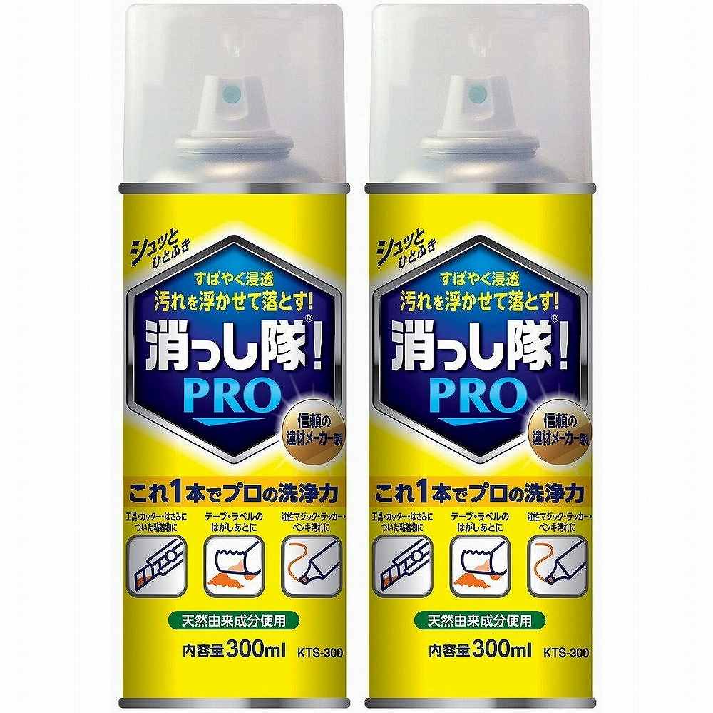 エービーシー商会 - 消っし隊! PRO エアゾールタイプ(300ml) - KTS-300 2個セット