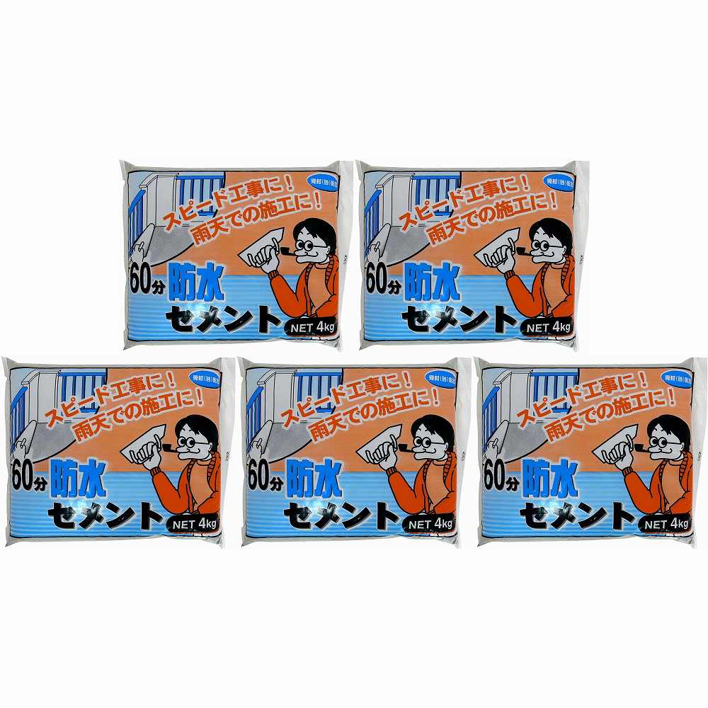 �������ع��� - 60ʬ�ɿ奻���� - 4kg 5�ĥ��å�