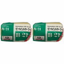 大塚刷毛 - ペイントローラー レギュラー(4インチ) - 4B-21 2個セット