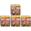 【4個セット】セメダイン かべパテ HC-121 300g