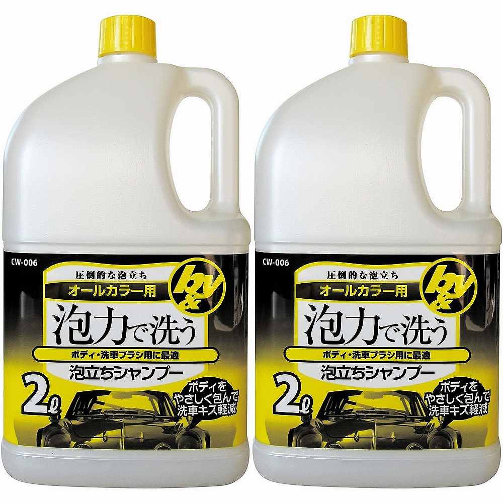 ハンディ・クラウン - 泡立ちシャンプー - 2L 2個セット
