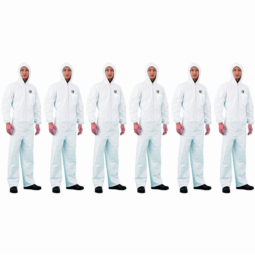 アゼアス　タイベック（R）　製続服　1010B　3L 6個セット