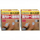 【2個セット】セメダイン かべパテ HC-121 300g
