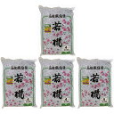 家庭化学工業 - 若椛(繊維壁基材) - No4 - 一坪用 - 670g 4個セット