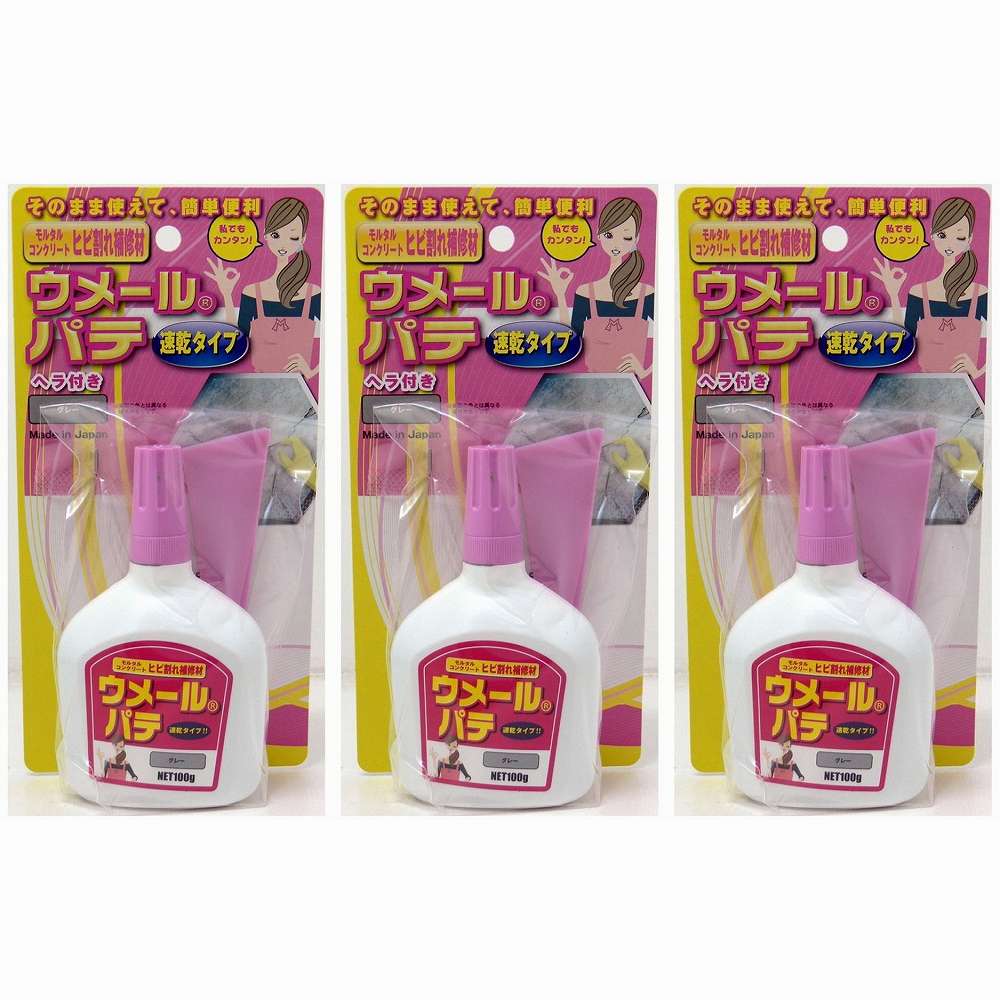 Repair Agents - 家庭化学工業 - ウメールパテ - 速乾タイプ - グレー - 100g 3個セット