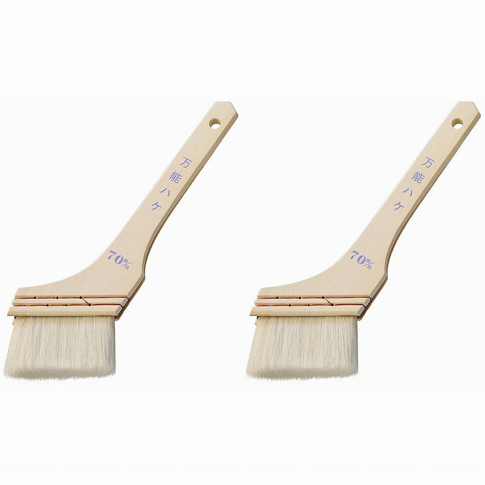 �ϥ�ǥ������饦�� - ��ǽ�ϥ� - 70�ߥ� 2�ĥ��å�