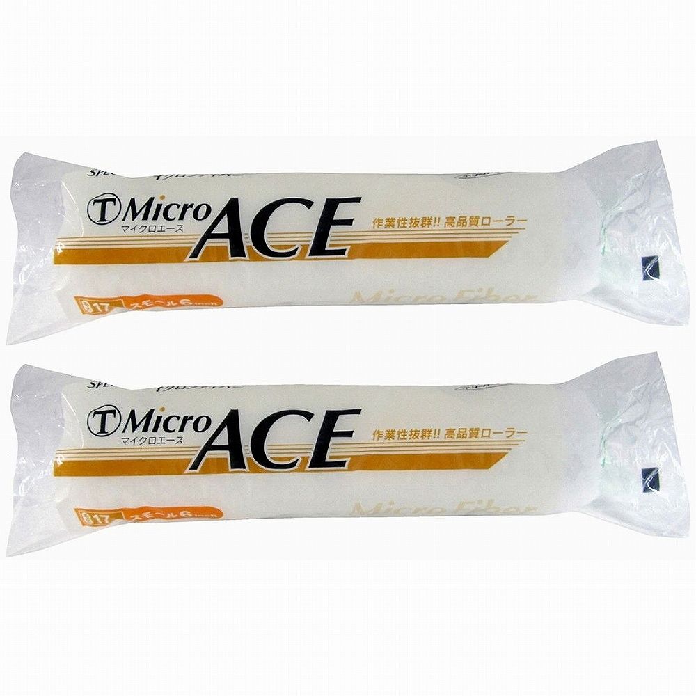 大塚　Micro　ACE　17ミリ　スモール　6S−MIR　6インチ 2個セット