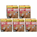 【5個セット】セメダイン かべパテ HC-121 300g
