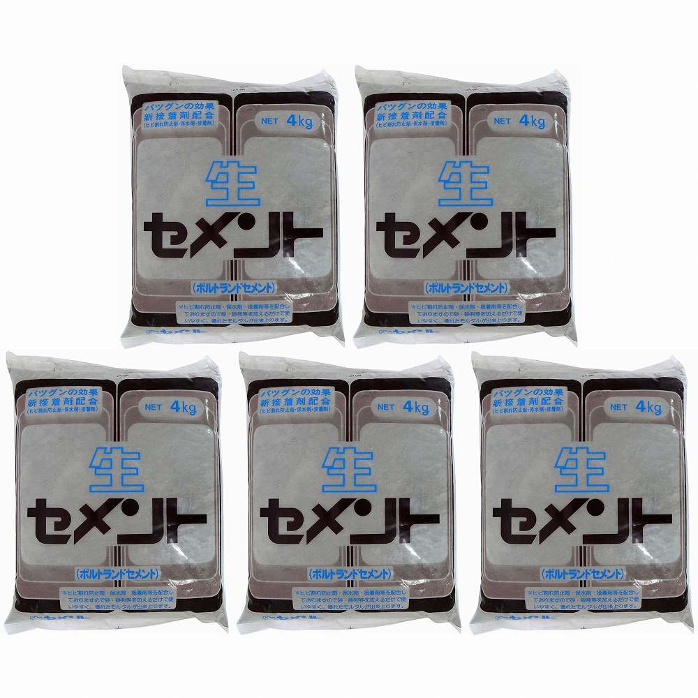 家庭化学工業 - 生セメント - 4kg 5個セット