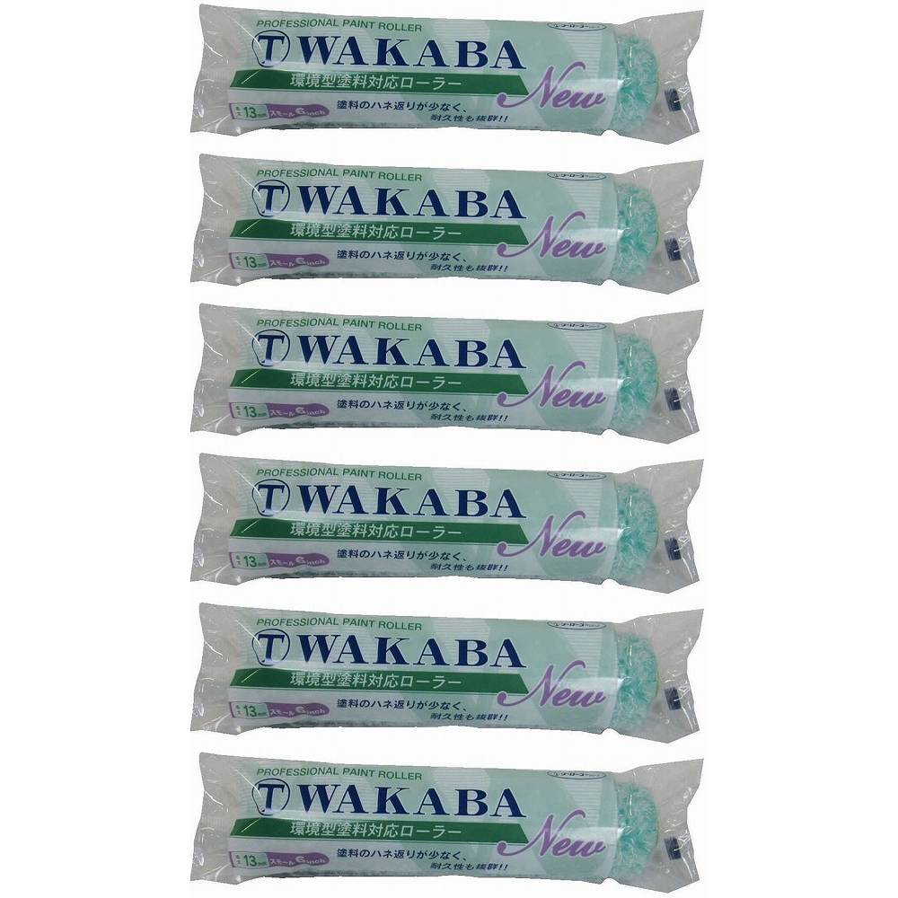 大塚 WAKABA13ミリスモール6S-WAB 6個セット