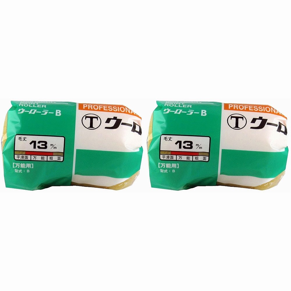 大塚刷毛 - ウーローラーA 替筒 中毛(13mm 4インチ) 2個セット