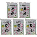 家庭化学工業 - 若椛(繊維壁基材) - No4 - 一坪用 - 670g 5個セット