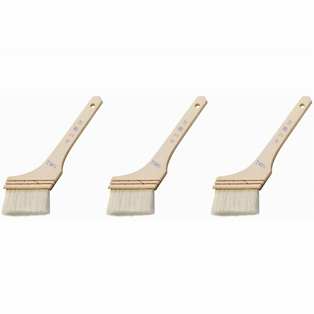 �ϥ�ǥ������饦�� - ��ǽ�ϥ� - 70�ߥ� 3�ĥ��å�