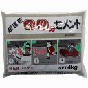 家庭化学工業 - 超速乾30分セメント - グレー - 4kg