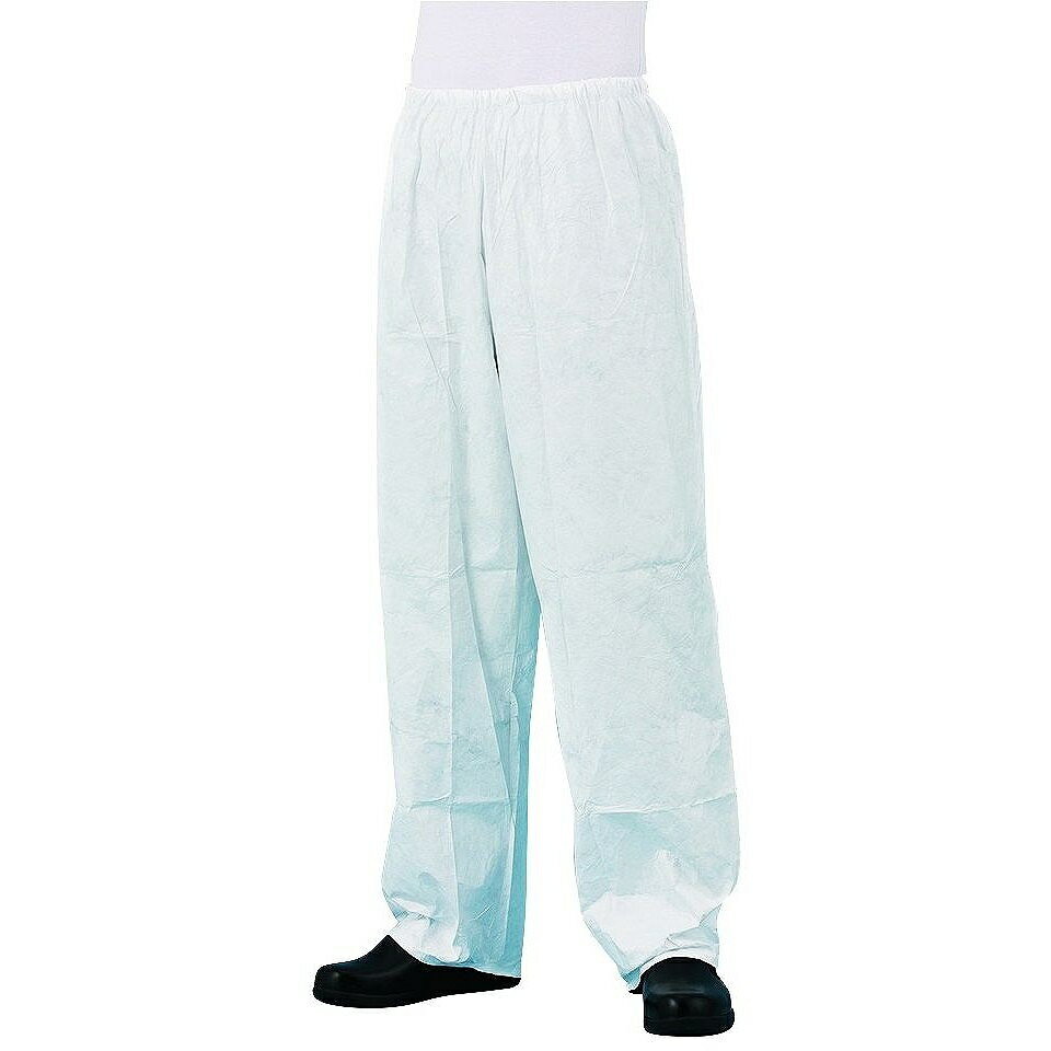 アゼアス　タイベック（R）製ズボン　3580　Lサイズ