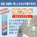 【あす楽対応・送料無料】アサヒペンカビのガードカビドメスプレー300ML