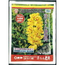 【あす楽対応・送料無料】東商洋らんの肥料1KG