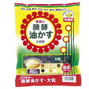 【あす楽対応・送料無料】東商醗酵油かす大粒500G