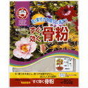 【あす楽対応・送料無料】日清商事すぐ効く 骨粉500G