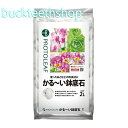 プロトリーフ かる~い鉢底石 2L (Pリーフ)