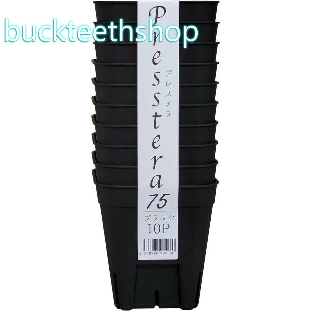 ���åץ륦�������ץ쥹�ƥ顡75��10���ȡ��֥�å�����160��4539920901860