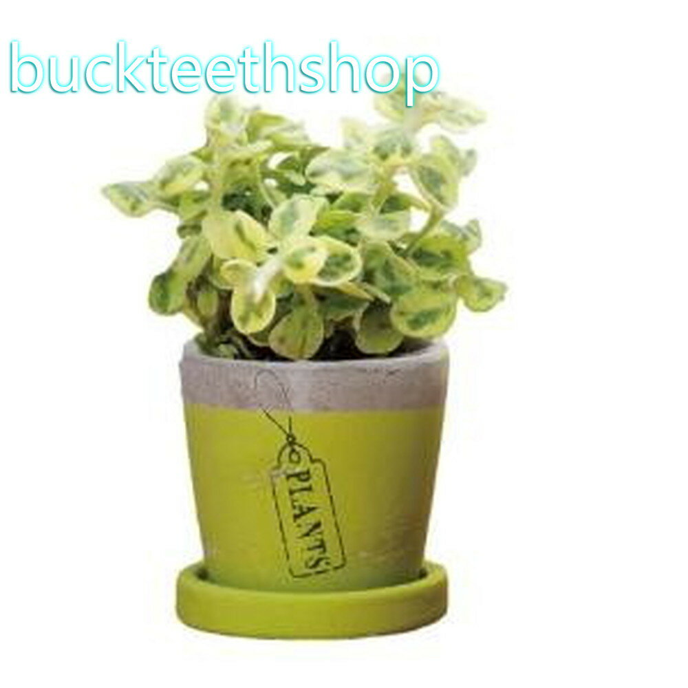 エイチ・ツーオー プランツポットL HT7792 ライトグリーン （H2O）