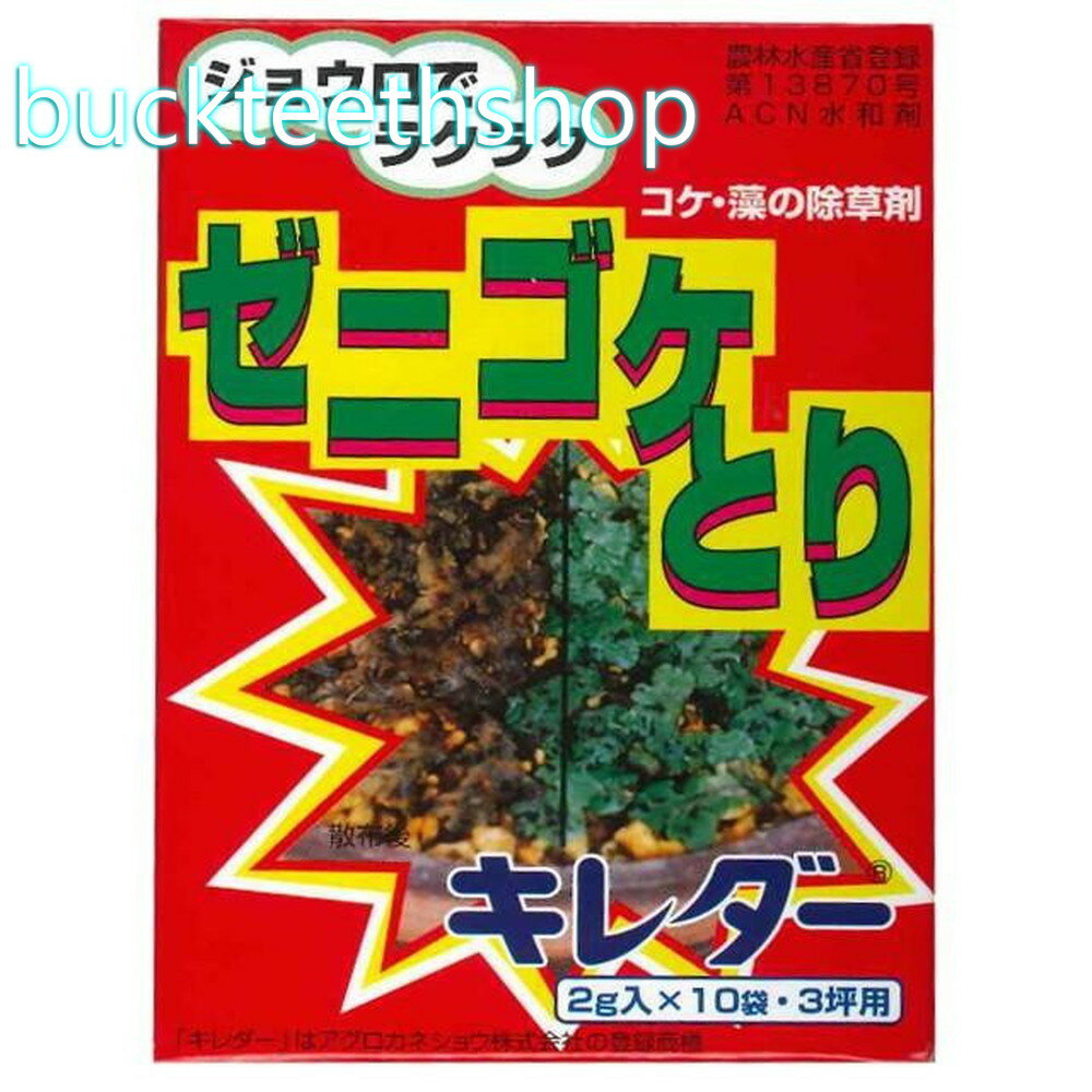 ���������ͥ��祦�����꡼�󡡥��������2g��10���ڡ�49246704