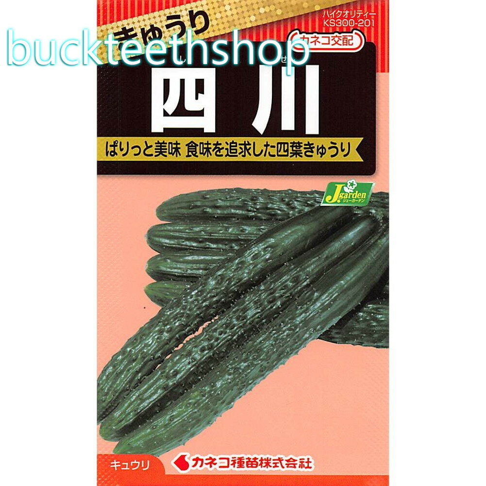 カネコ種苗　タネ　四川きゅうりのサムネイル