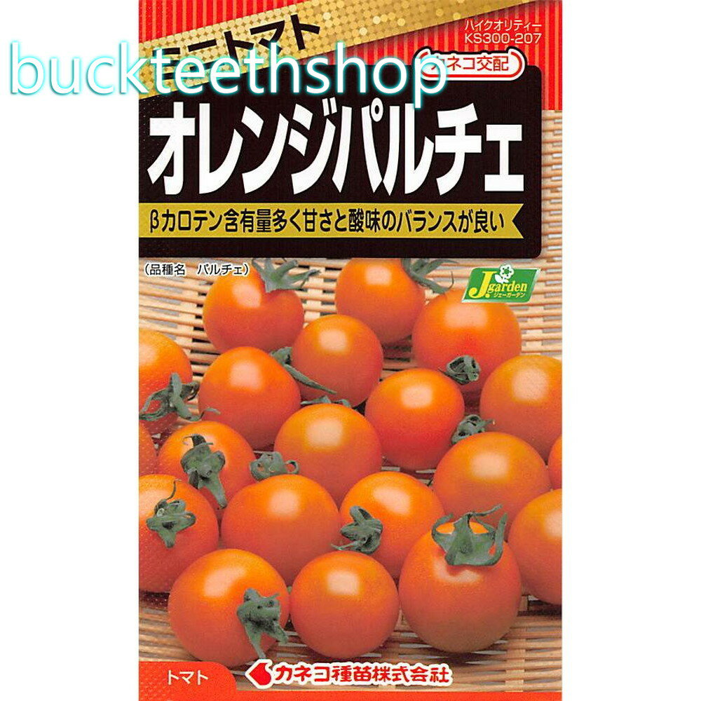 ���ͥ����ġ����͡��ߥ˥ȥޥȡ�����󥸥ѥ����