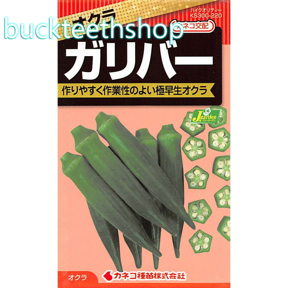 カネコ種苗　タネ　オクラ　ガリバー