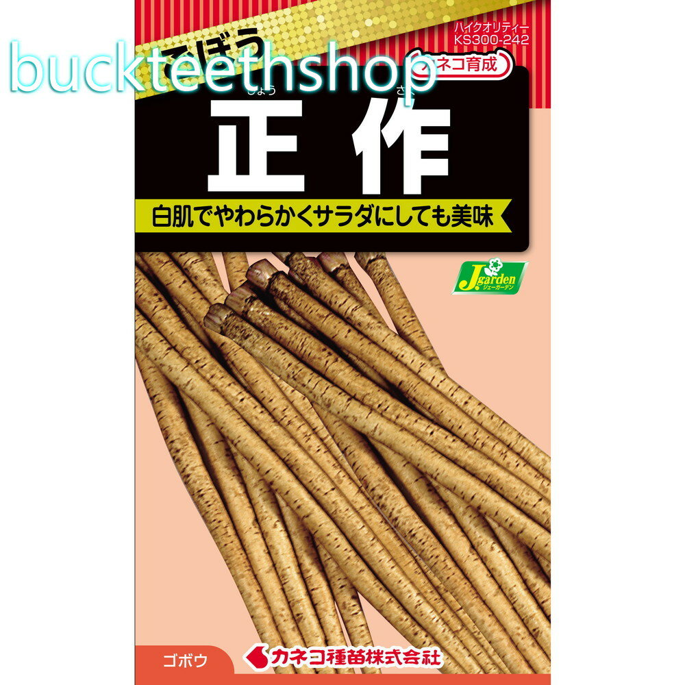 カネコ種苗　タネ　ごぼう　正作