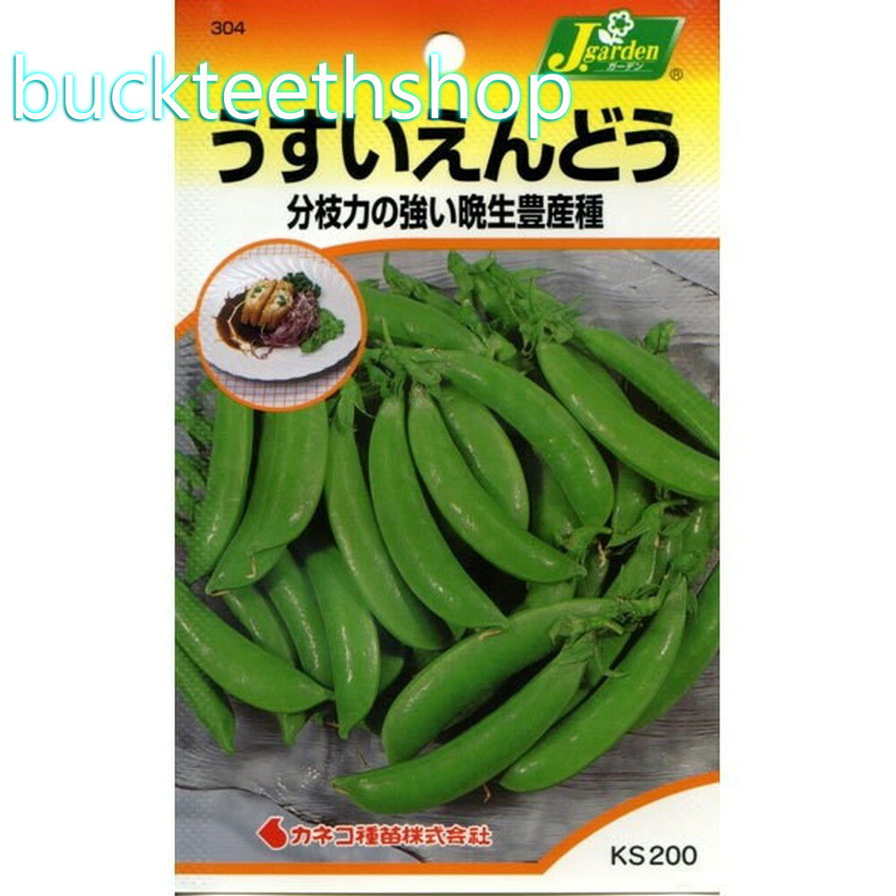 カネコ種苗　タネ　うすいえんどう