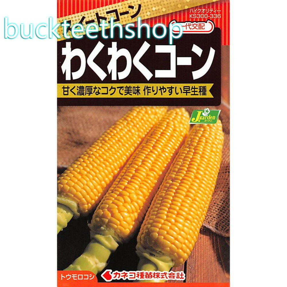 カネコ種苗　タネ　スイートコーン　わくわくコーン　（82）