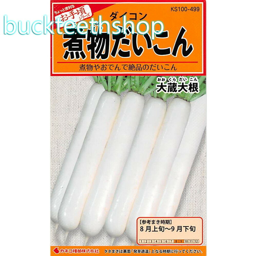 カネコ種苗　タネ　煮物だいこん　大蔵大根